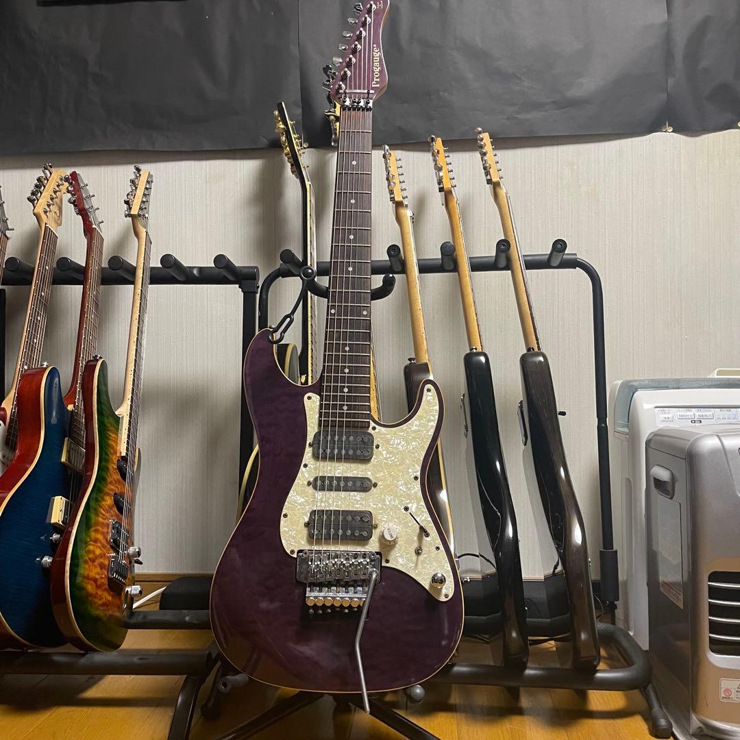 Progauge by Schecter 7弦ギター Progauge by SCHECTER エレキギター 7弦ギター Progauge by Schecter