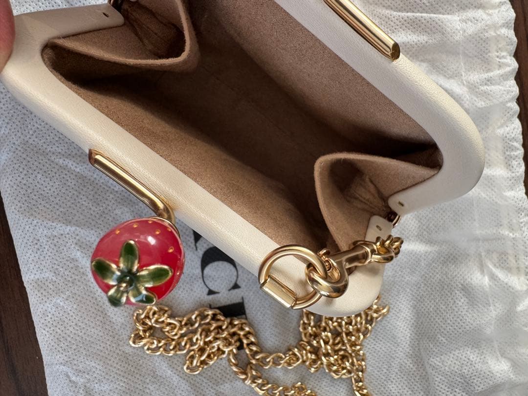 【Alex】COACH いちご柄 ケース