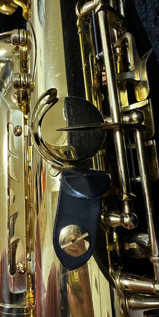 アルトサックス(ゴールド) 本体 ケース付き