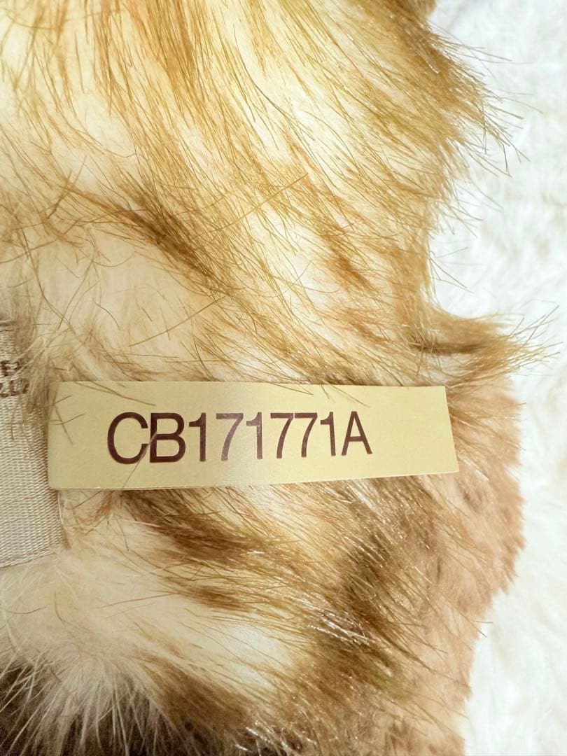 ☆チャーリーベアーズ☆Tegan☆美品♪