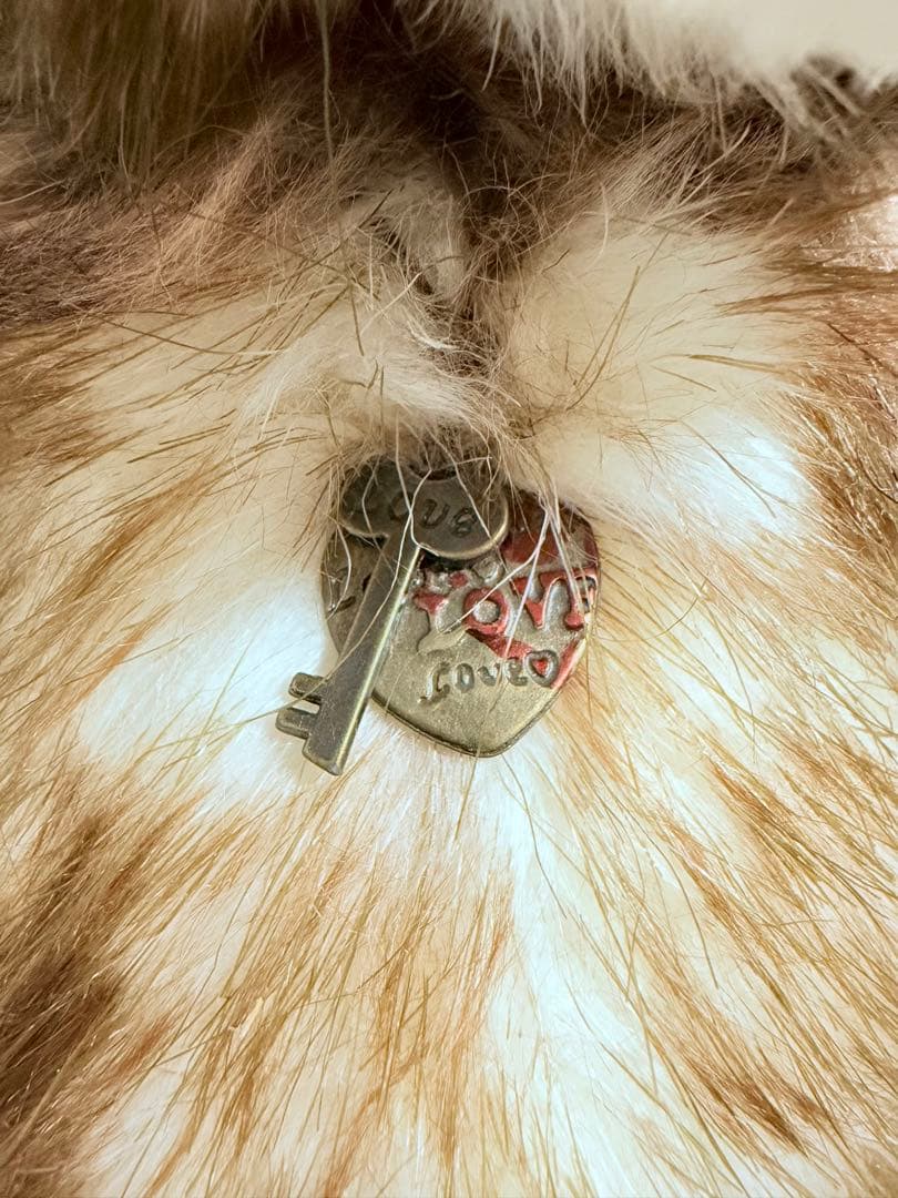 ☆チャーリーベアーズ☆Tegan☆美品♪