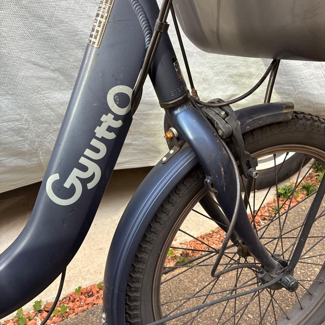 専用　★サンゴ☆さま　ギュットクルーム　DX 20インチ