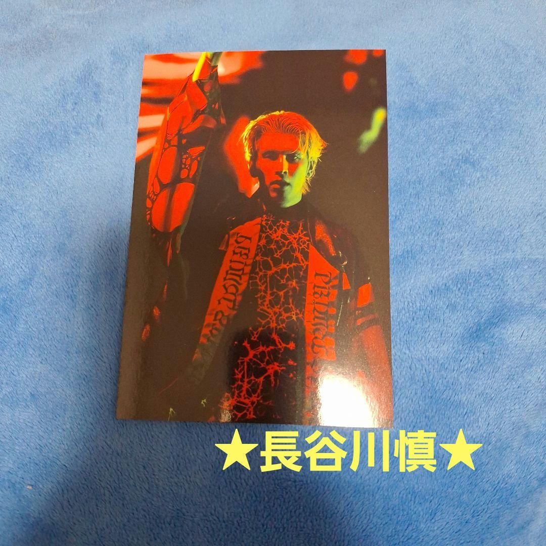長谷川慎 ポストカード PRIMAL SPIDER プラスパ - メルカリ