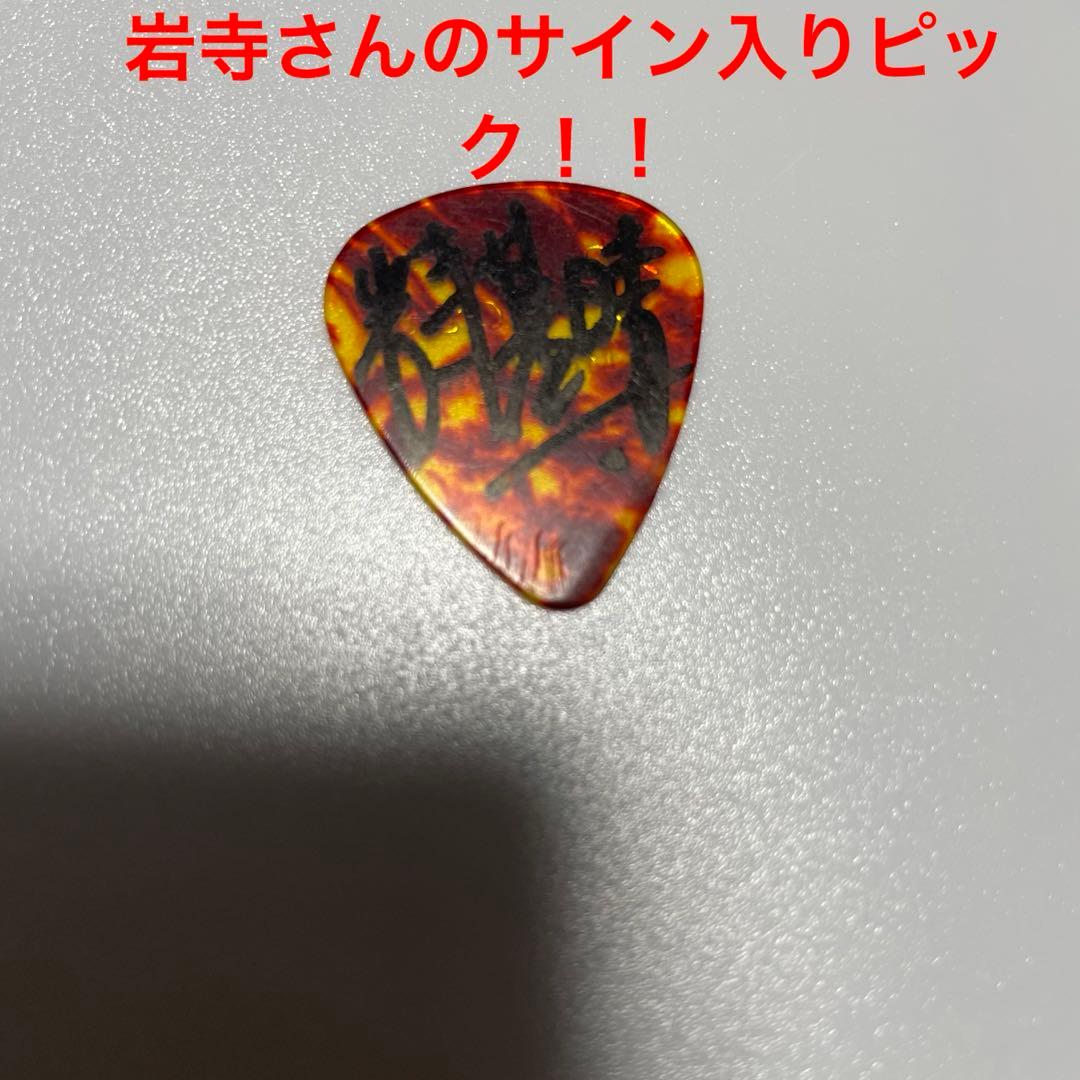 貴重な サイン入り】サカナクション ギター 岩寺さん サイン ピック