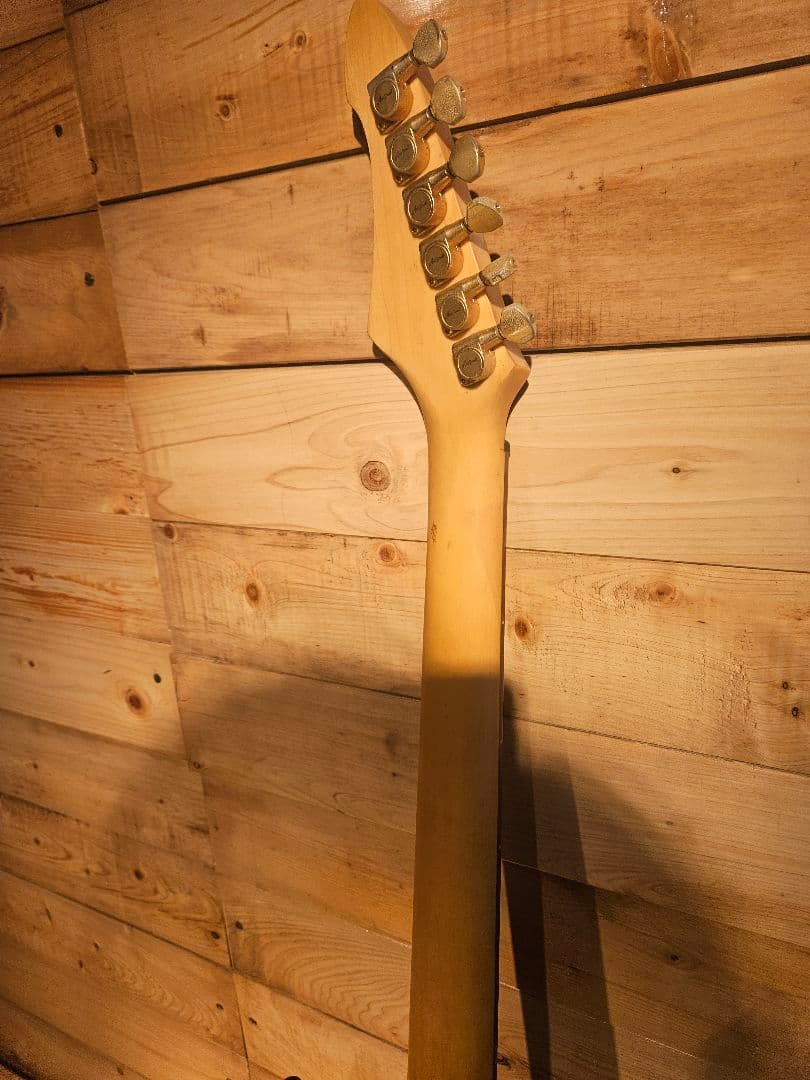 AriaProⅡ MAGNA-series エレキギター