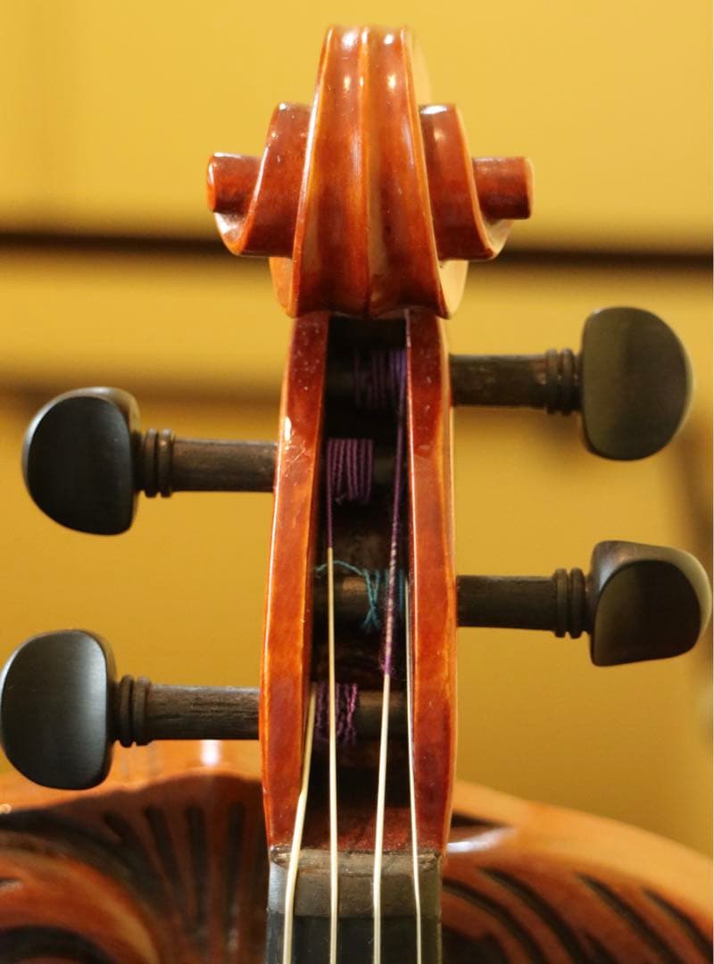 【みみちゃん】ビオラ 15.5 Gliga Gems Anno 2022