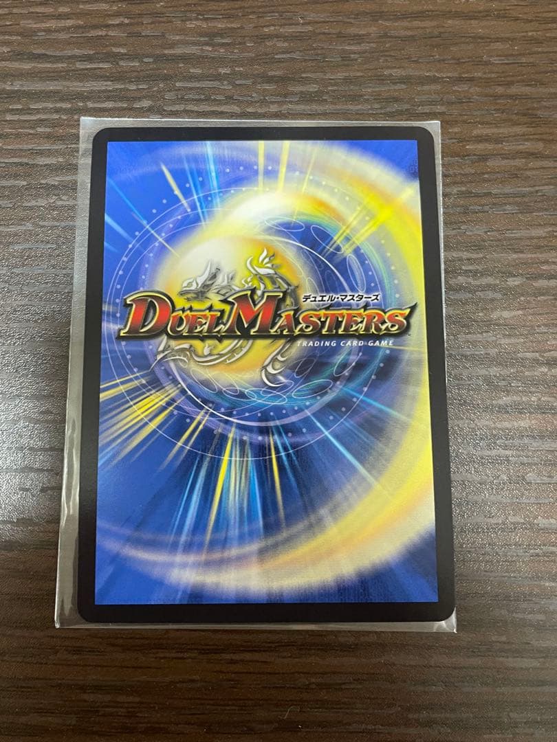 聖霊超王　Hアルカディアス　ハイパーアルカディアス　シークレット　シク