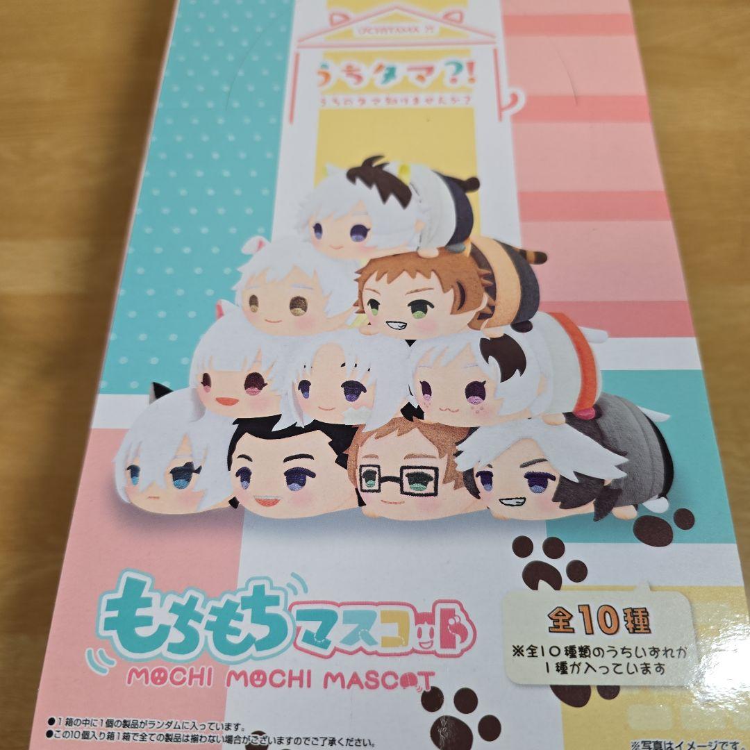 予約特典付き うちタマ?! もちもちマスコットぬいぐるみ ボックスセット