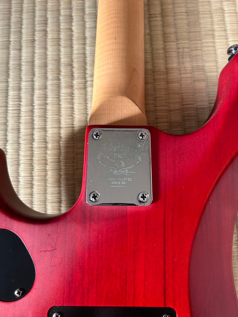 4*4様 Washburn Signature Model N2-NUNO