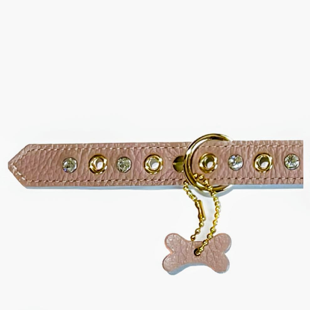 バディーベルト ハーネス・カラー・リードの3点 バディベルト BUDDYBELT