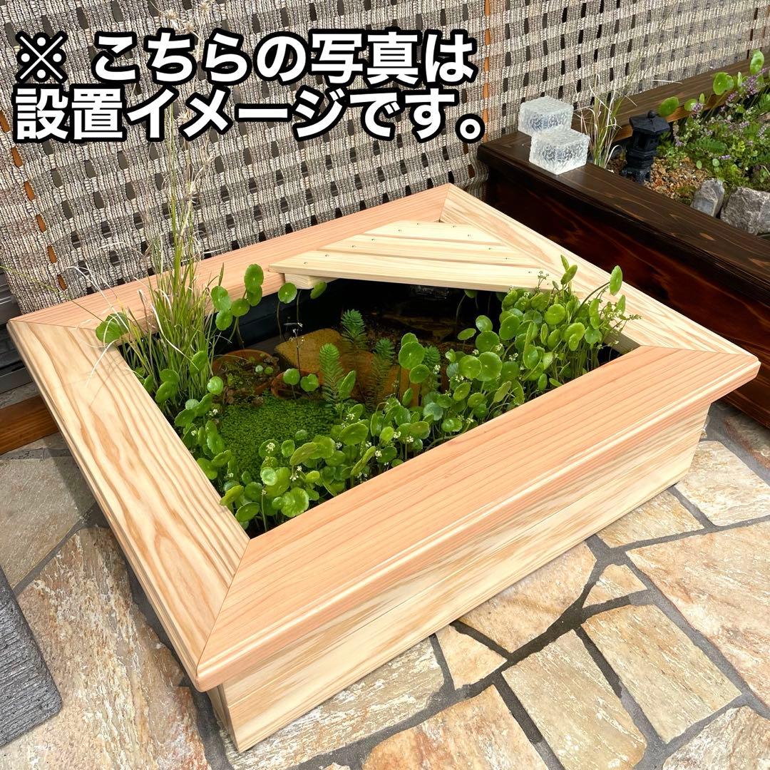 新作 トロ舟 ビオトープ 木枠 めだか飼育 カラー:ナチュラル トロ 舟