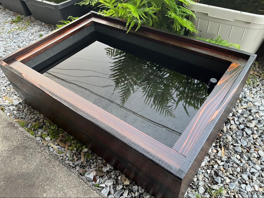 60Lトロ舟と木枠のセット　簾と産卵床のおまけ付き　メダカ　ビオトープ
