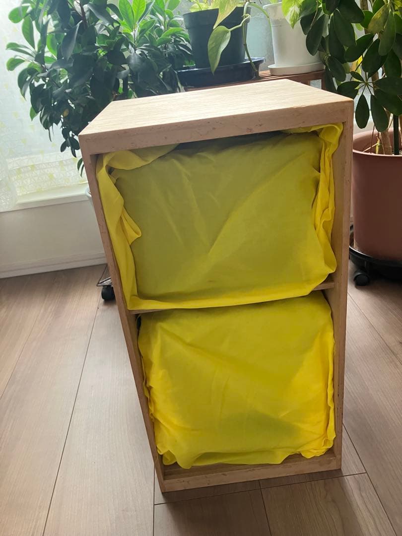 輪島塗 五段重 二枚蓋 木箱入り 重箱 伝統工芸品 漆芸【美品】