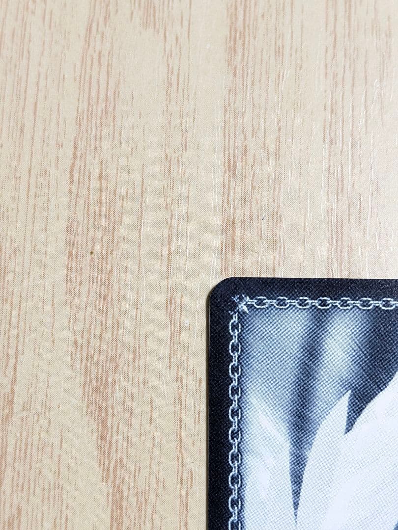 【BGS10】ヴァイス　ブルーアーカイブ　小鳥遊ホシノ　サインsp