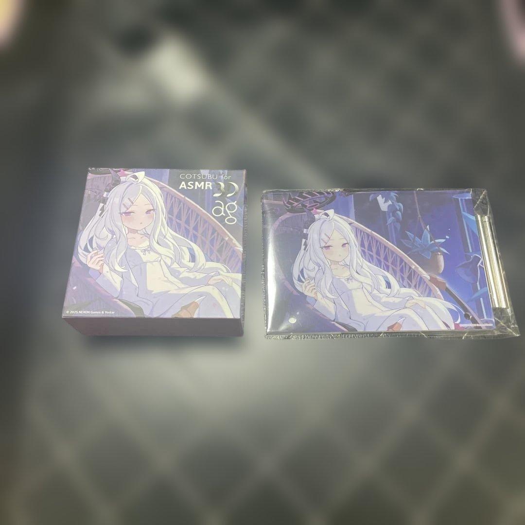 COTSUBU for ASMR 3D ブルーアーカイブ ヒナ クリアファイル付