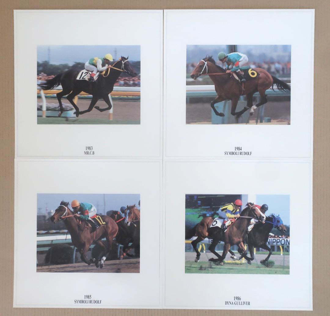 中央競馬(JRA)年度代表馬【1983年度～1998年度】写真16枚セット