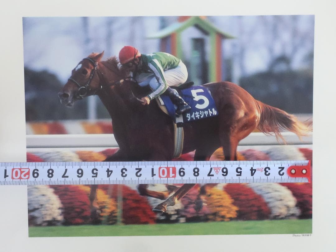 中央競馬(JRA)年度代表馬【1983年度～1998年度】写真16枚セット