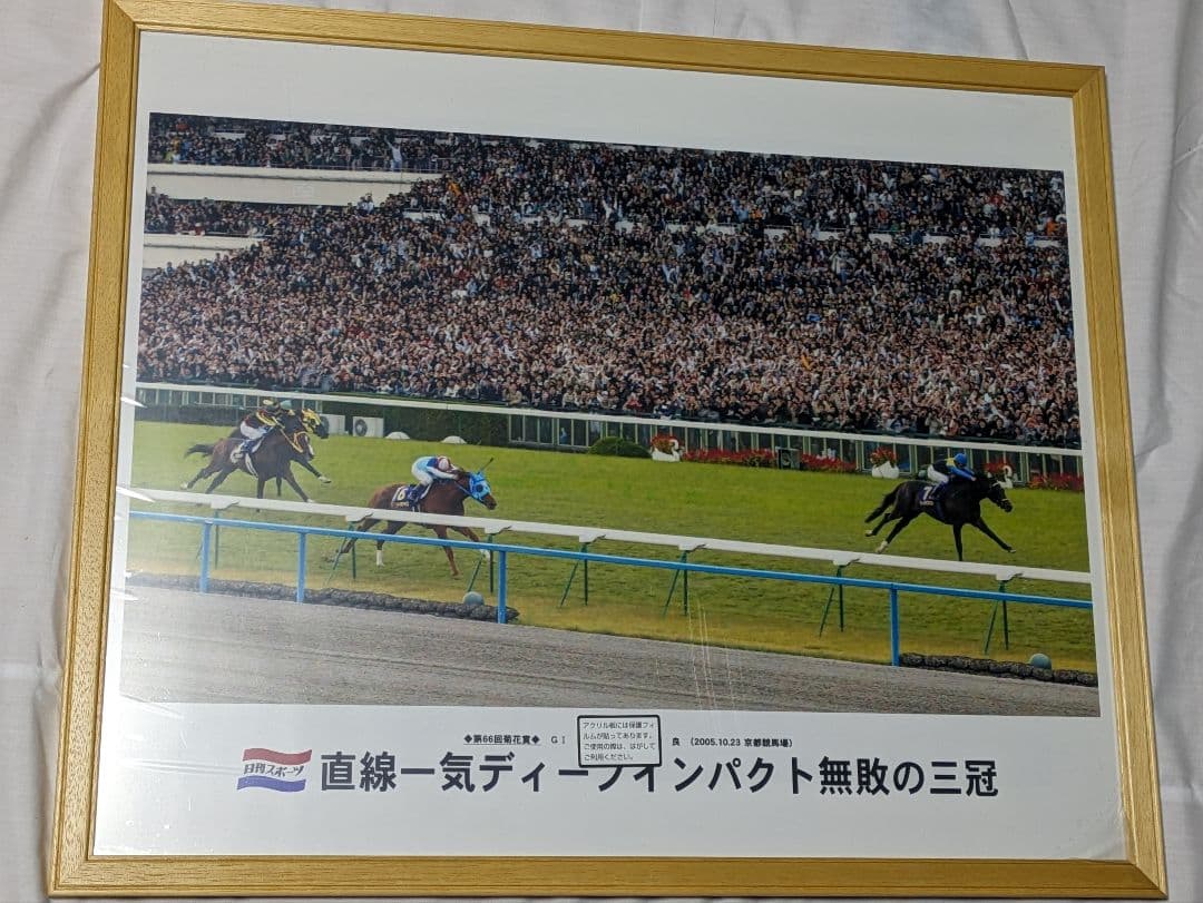 ディープインパクト 武豊 菊花賞 競走馬 写真パネル 額縁入り スポーツ