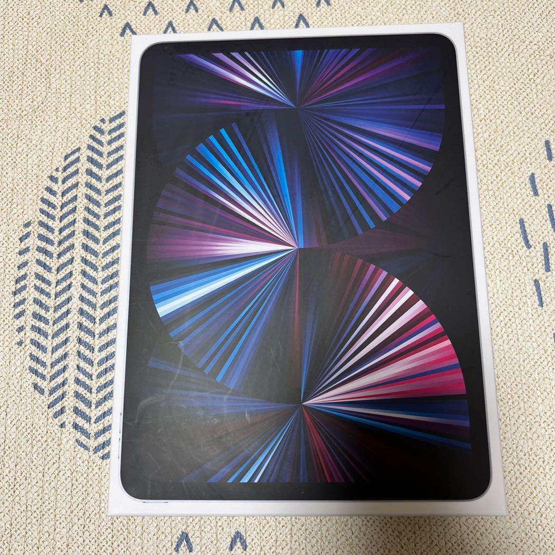 Apple iPad Pro 11 WI-FI 256GB 3点セット