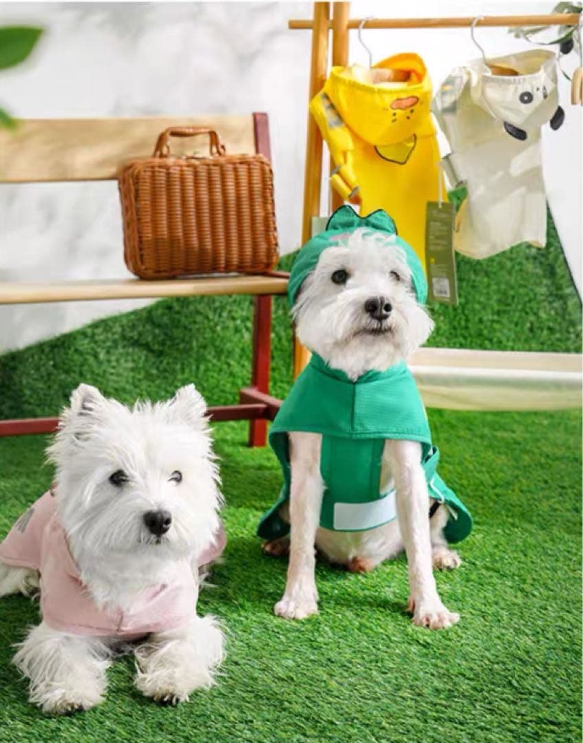 激レア！モンクレール ジーニアス ペットレインコート コラボ Moncler