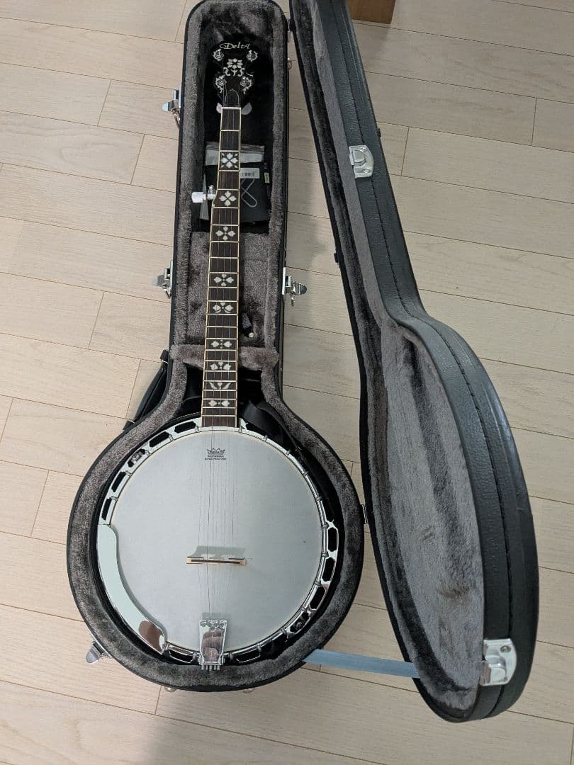 5弦バンジョー