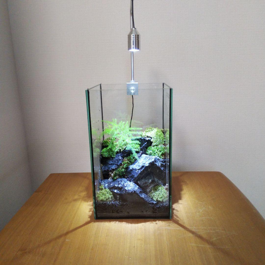 オーダーメイド】滝のあるアクアテラリウム 苔テラリウム アクアリウム