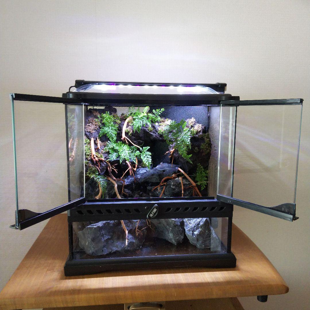 オーダーメイド】滝のあるアクアテラリウム 苔テラリウム アクアリウム