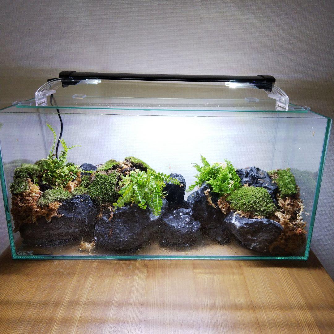 オーダーメイド】滝のあるアクアテラリウム 苔テラリウム アクアリウム