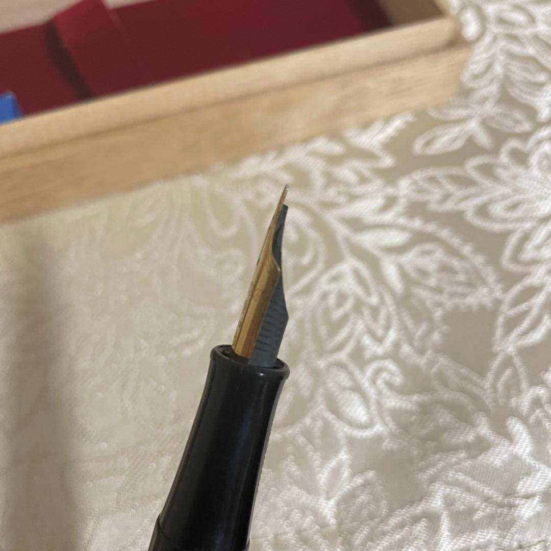 プラチナ万年筆 #3776 蒔絵 牡丹 14K 細 名入の通販はau PAY
