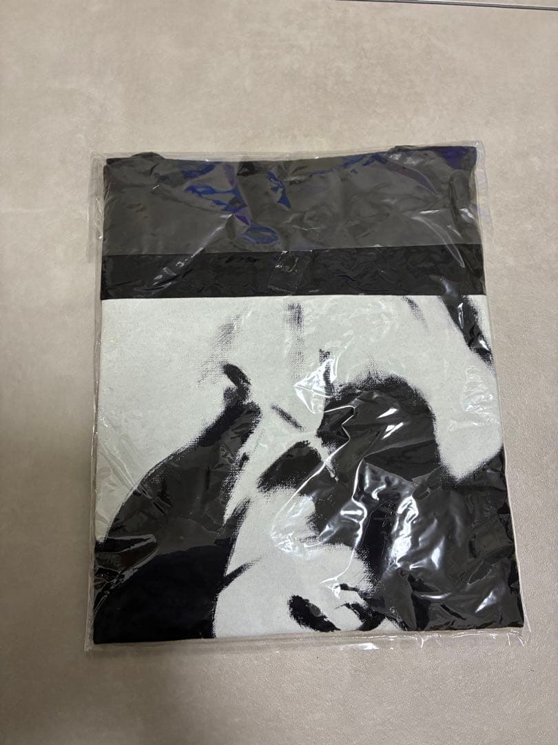 五木田智央 HOSONO HOUSE COVERS 細野晴臣 Tシャツ