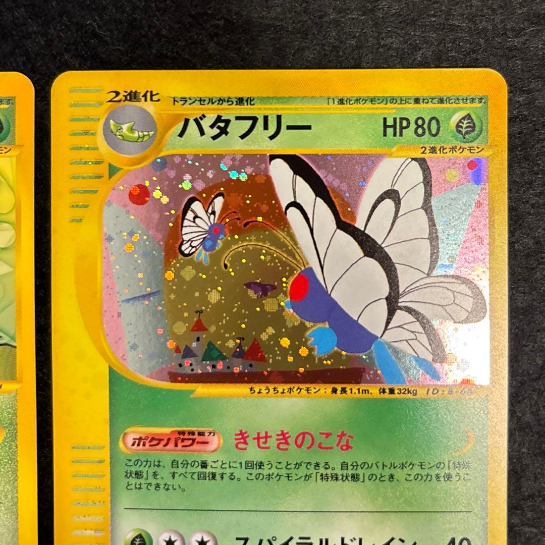 ふ*ぅ様 #ゆんの気まぐれオークション　（梅）　キャタピー　トランセル　バタフリ