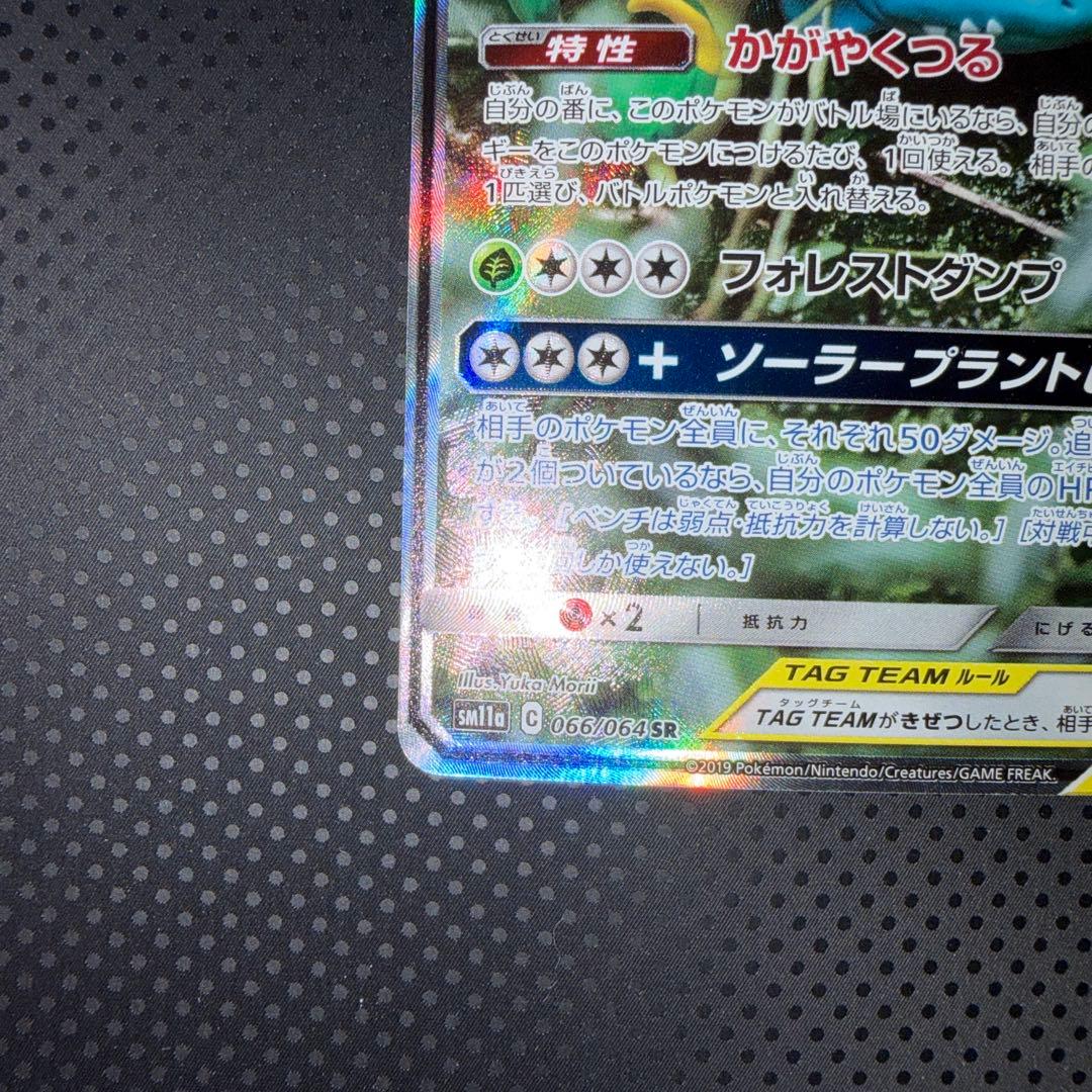 美品 フシギバナ＆ツタージャGX かがやくつる SR SA