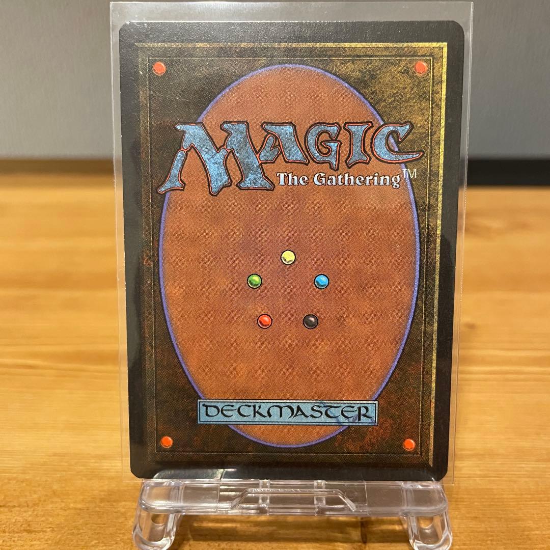 [summer magic]基本土地5種セット サマーマジック Edgar