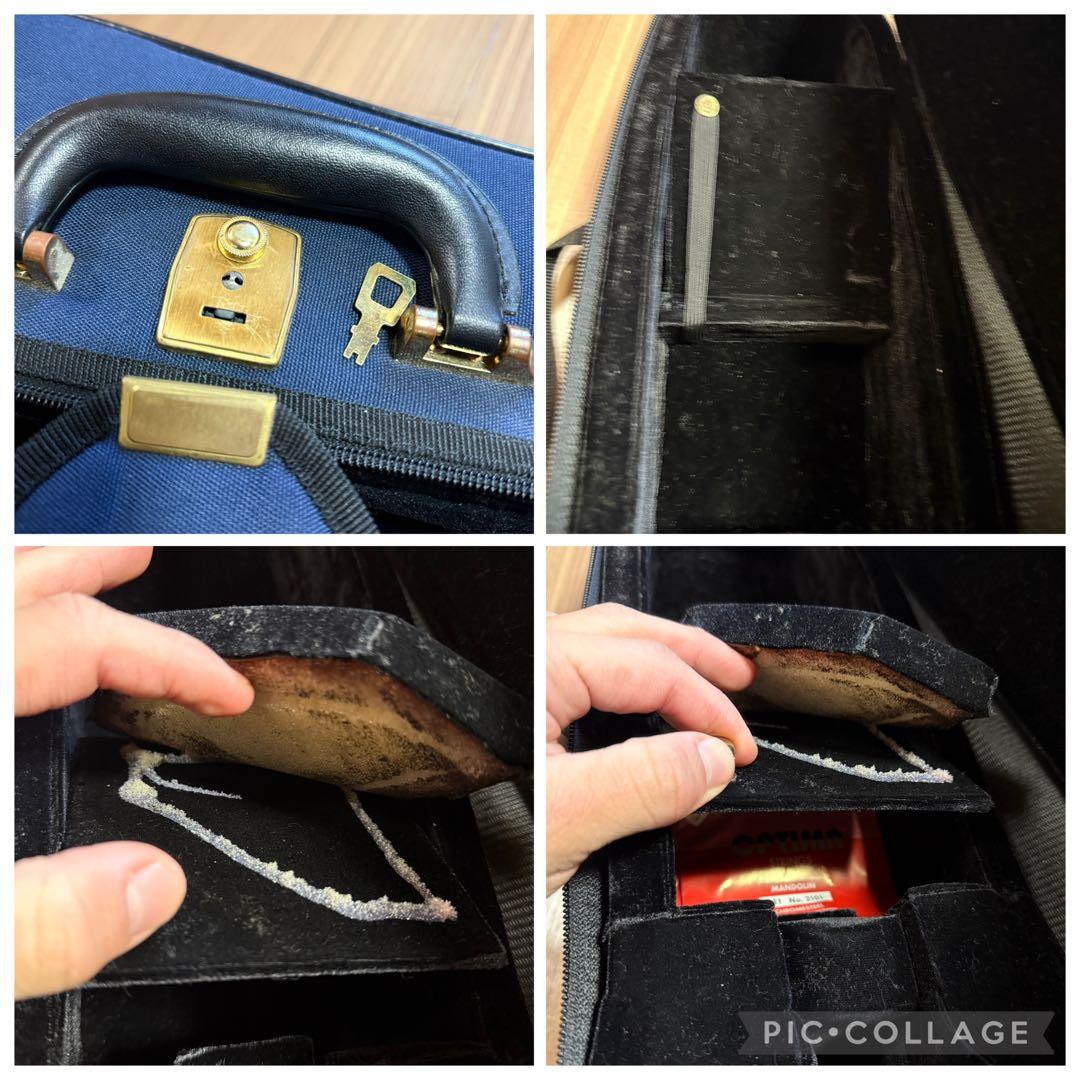 【美品】宮野マンドリン　M-1 ローズウッドボディ　 マンドリンケース　弦付き