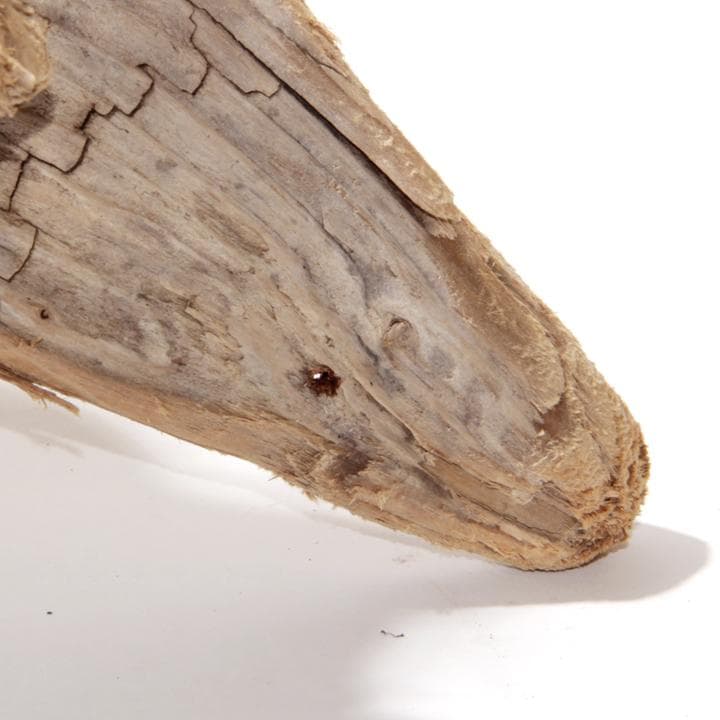 流木 インテリア レイアウト 42cm DIY アクアリウム 天然 rybk7