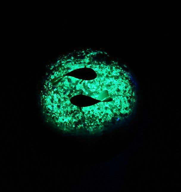 貴重です！ 増永元さん彩元堂 とんぼ玉 光る魚石 - メルカリ