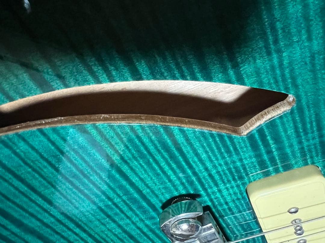 希少】PRS SE Cnstom 22 セミホロウ P-90タイプ 希少】PRS SE Cnstom