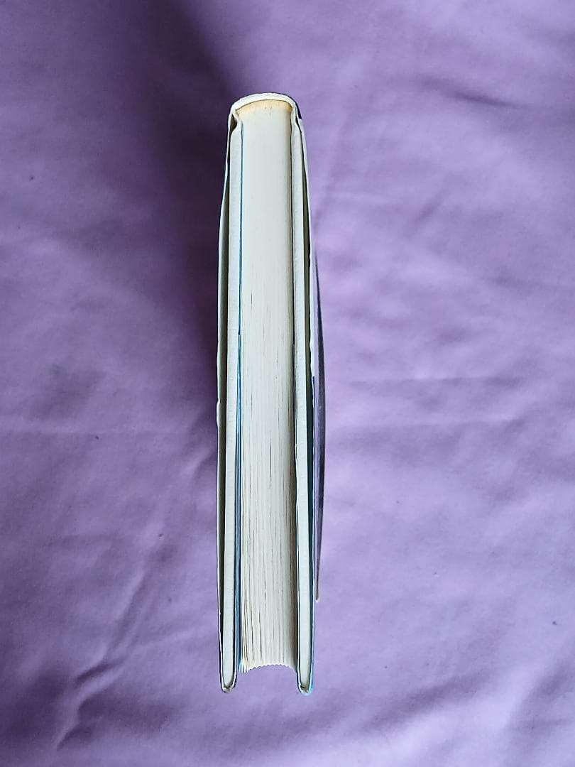 唯心論物理学の誕生「モナド・量子力学・相対性理論の統一モデルと