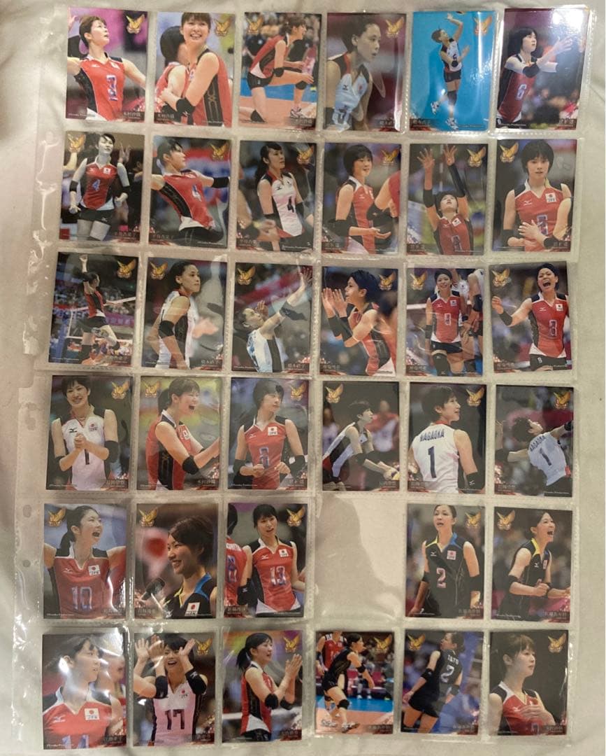 火の鳥NIPPON トレーディングカード 86枚 ＋ バインダー