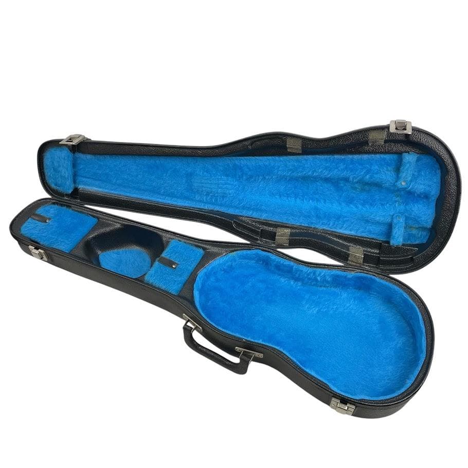 極希少○アルフレッド・フラスタット○ バイオリン用 ハードケース