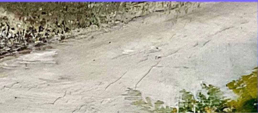 風景画 油彩画 木々と道