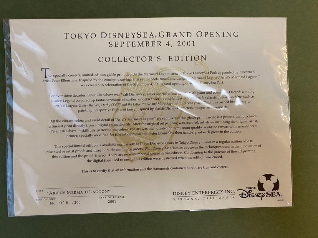 アリエル　マーメイドラグーン