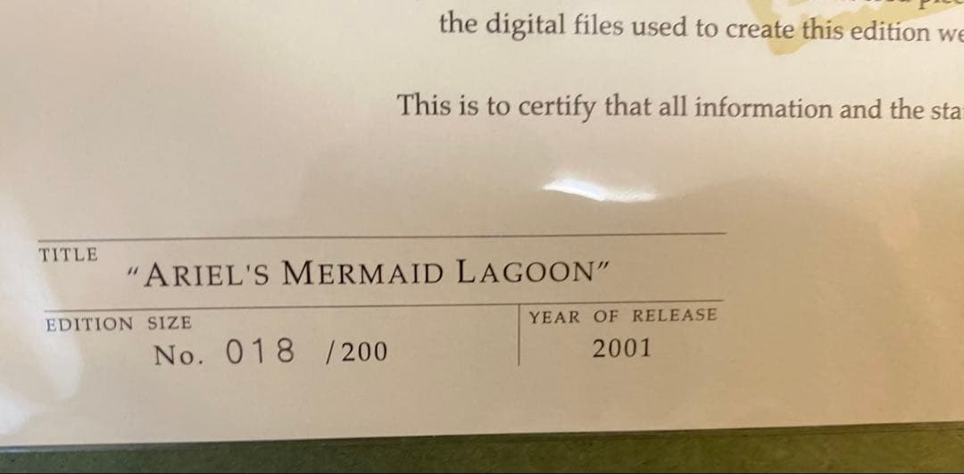 アリエル　マーメイドラグーン