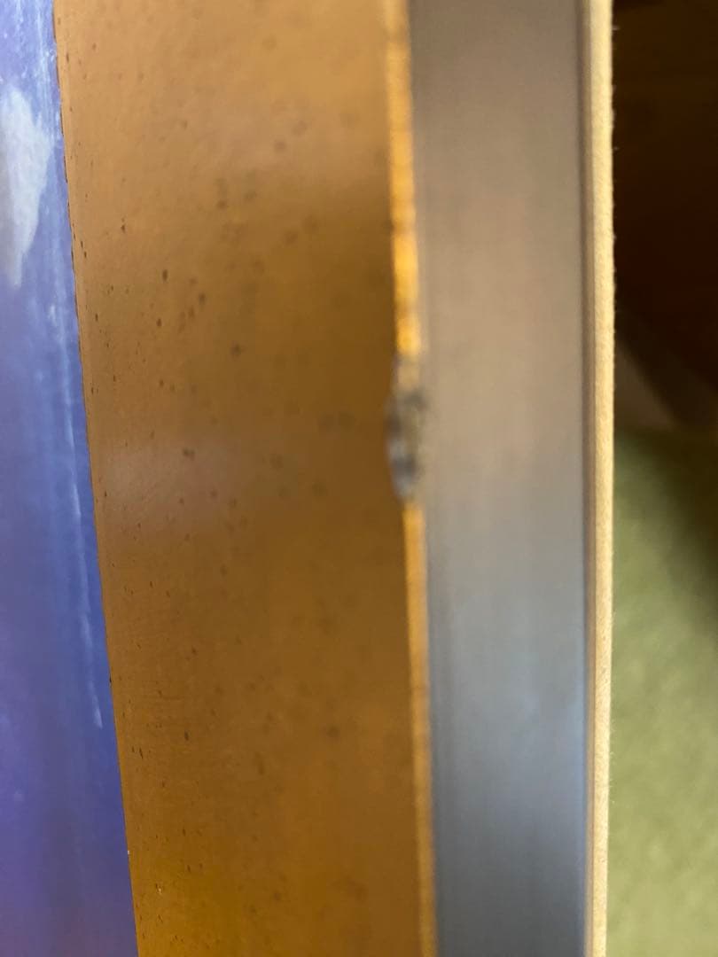 アリエル　マーメイドラグーン