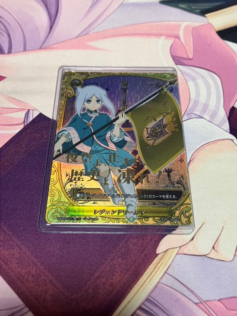 ソフィアサハロフシークレットフラッグバディファイト