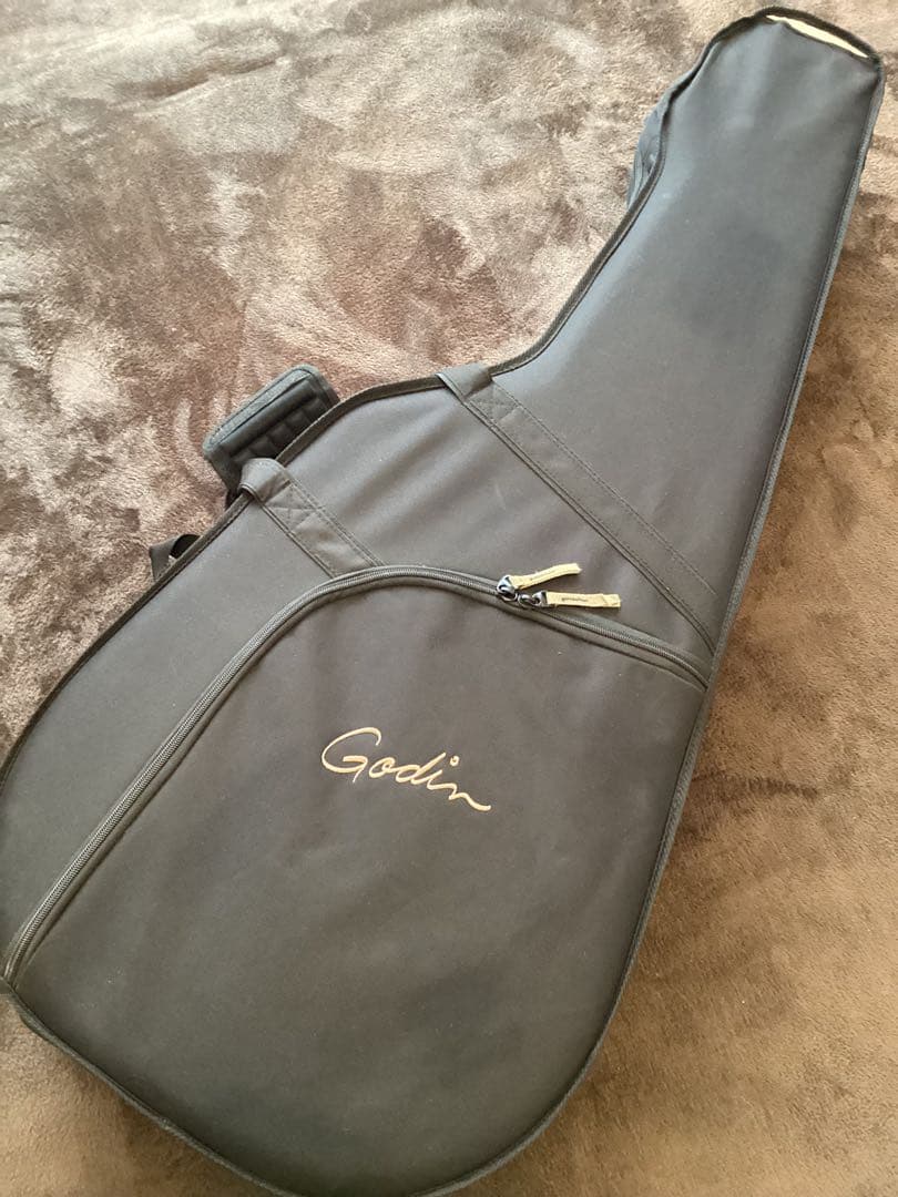 最終価格 GODIN ( ゴダン ギター ) / 5th Avenue カナダ製
