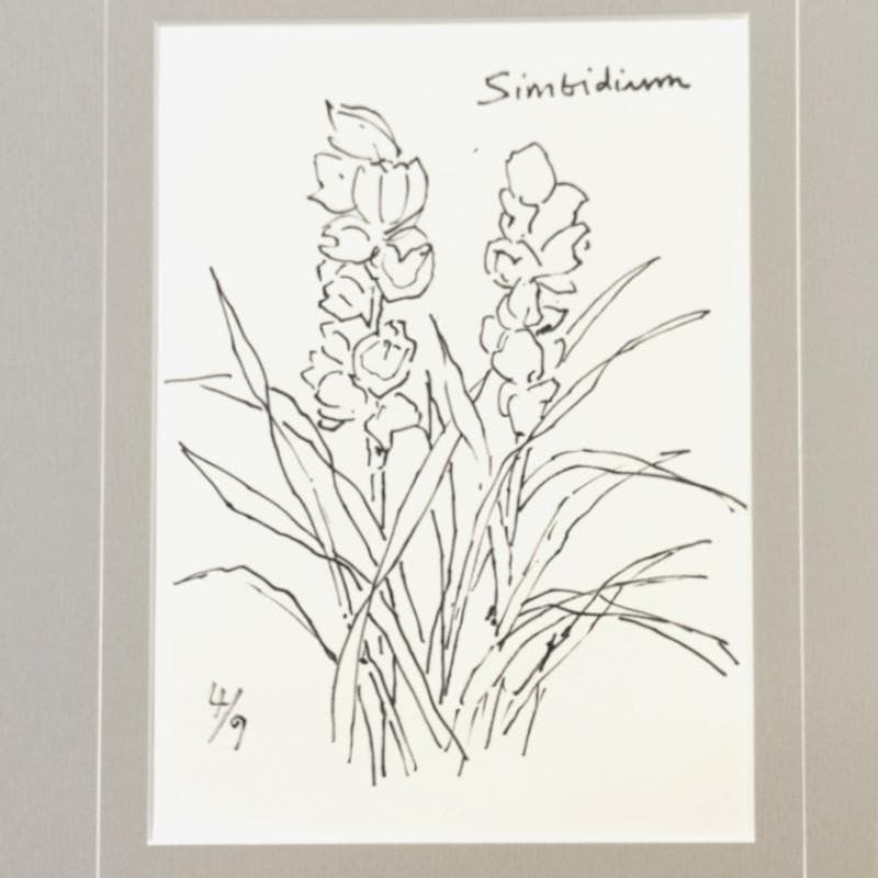 ☆坂本直行☆「 Sinbidium(シンビジウム） 」ペン画　大衣　未使用!