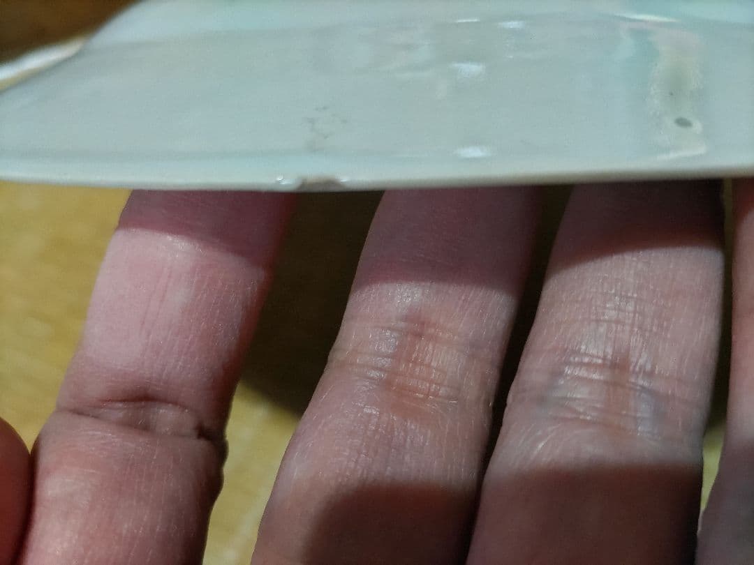 珍！ 新渡 チャイニーズ 8寸皿 伊万里・古染付・デルフト写し 中国製