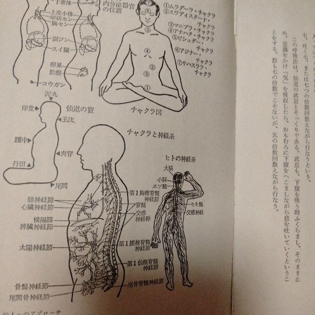 仙人になる法 高藤聡一郎 仙人 チャクラ ヨガ 科学気功法 針灸 丹田