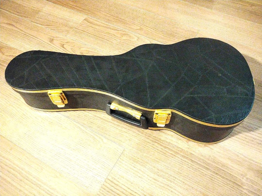 カヴァキーニョ&ハードケース　B